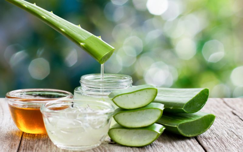 Nha đam giúp giảm cân và làm cho làn da trắng sáng trẻ trung