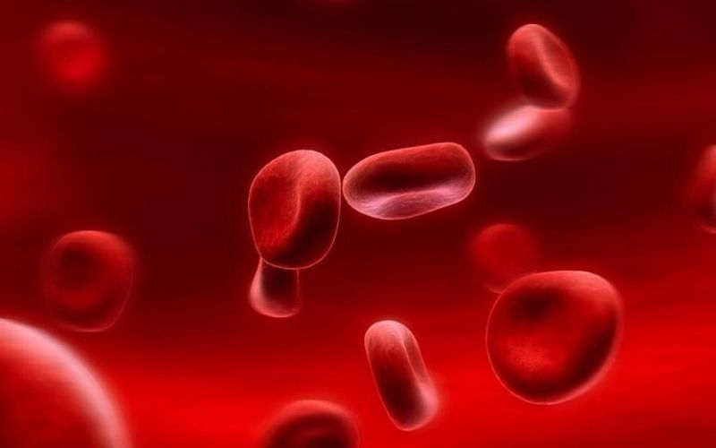Khối hồng cầu: Khái niệm, cách tính chỉ số khối hồng cầu