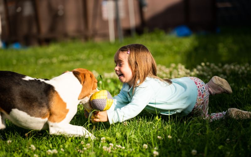 Bệnh tay chân miệng không lây từ vật nuôi hoặc động vật sang người, chỉ lây qua tiếp xúc người với người