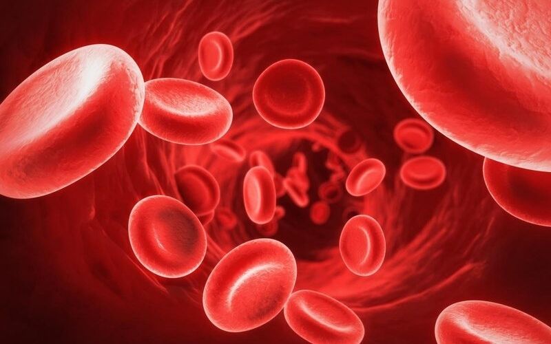 Hồng cầu: Khái niệm hồng cầu và vai trò hồng cầu