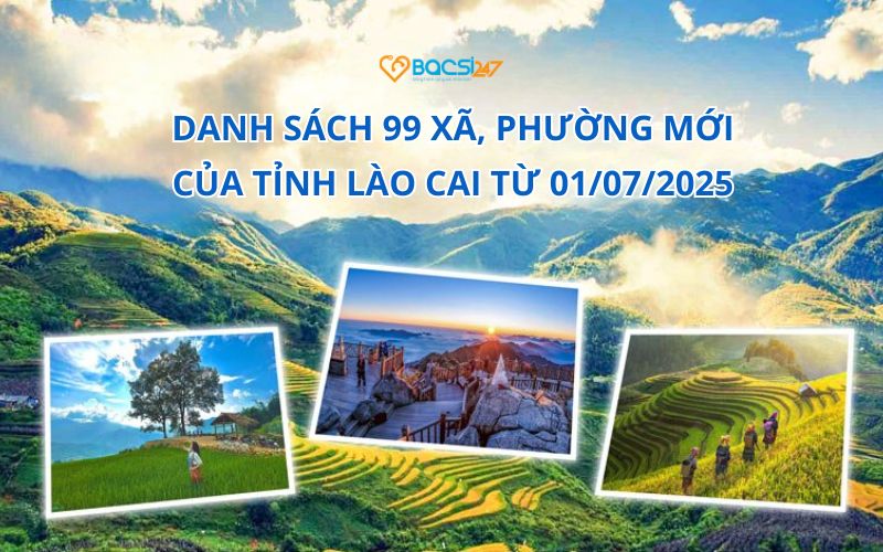 xã phường Lào Cai