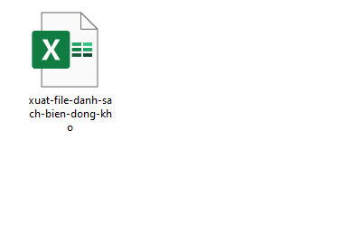 ket-qua-xuat-file-bien-dong-kho-1