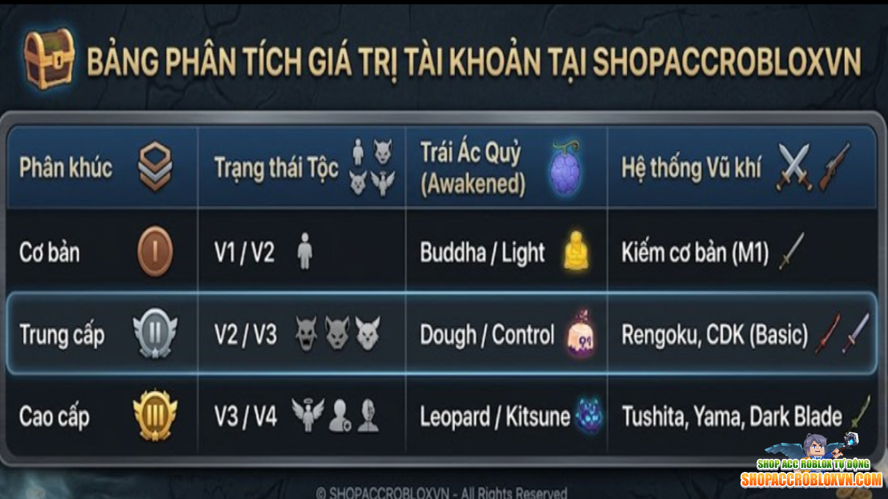 Bảng Phân Tích Giá Trị Tài Khoản Tại ShopAccRobloxVN