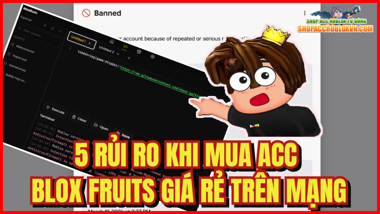 Đừng Mua Acc Blox Fruit Giá Rẻ Nếu Chưa Biết Điều Này