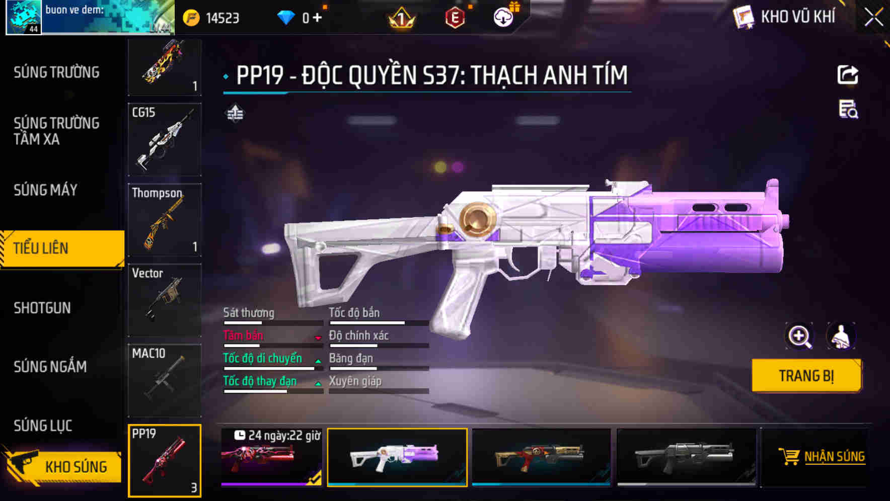 Thumbnail 19