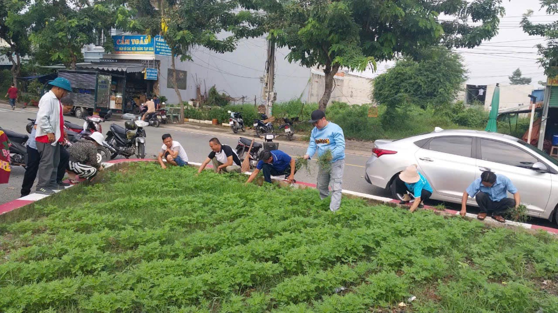 Thiết thực lập thành tích chào mừng Đại hội đại biểu Đảng bộ phường Hoà Phú lần thứ IV, nhiệm kỳ 2025 - 2030