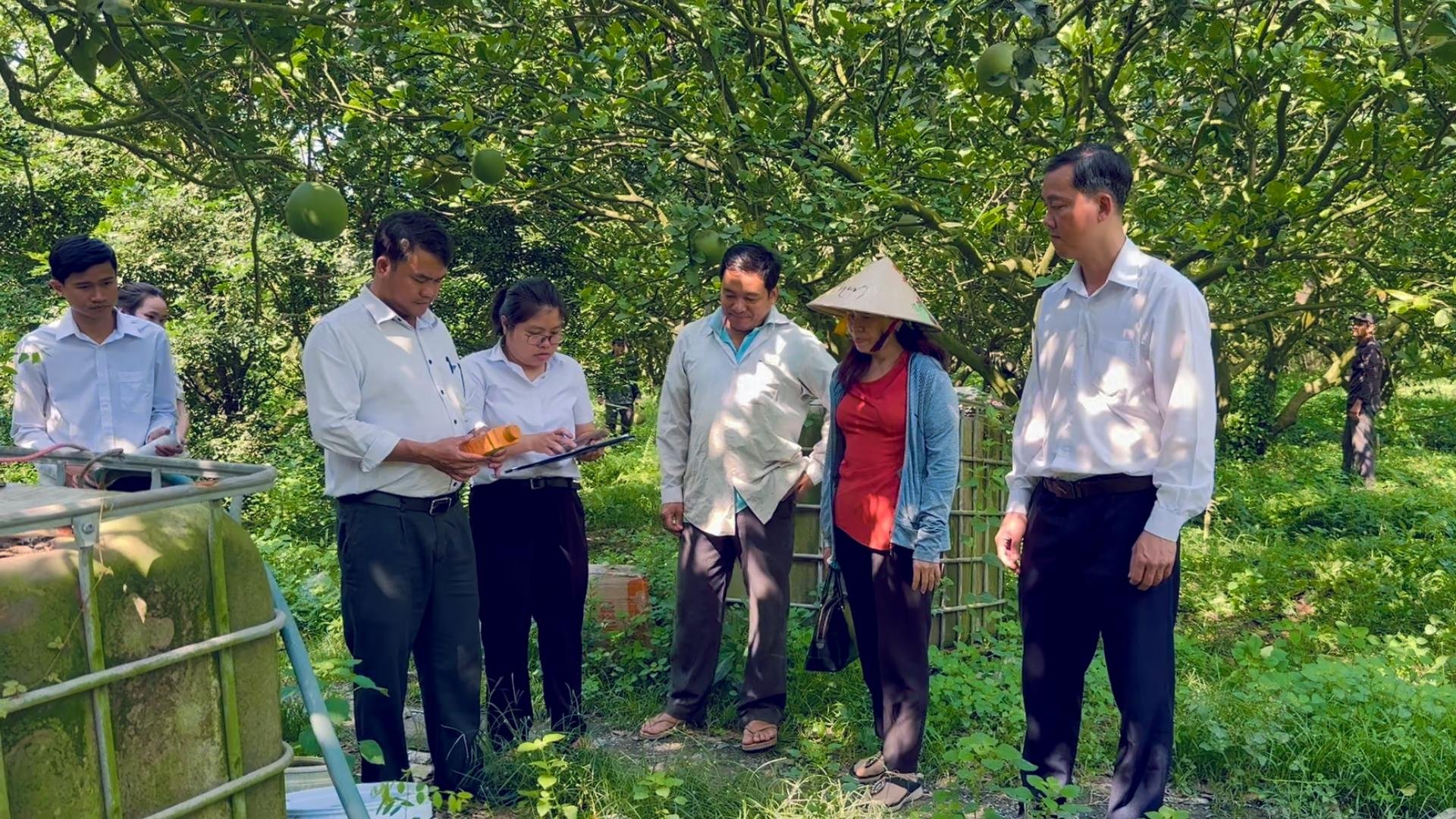 Chi cục Trồng trọt và Bảo vệ thực vật TP.HCM kiểm tra việc sử dụng thuốc bảo vệ thực vật trên cây ăn quả tại xã Thường Tân