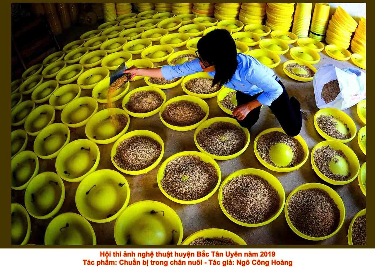 Tác phẩm dự thi Hội thi ảnh nghệ thuật huyện Bắc Tân Uyên năm 2019