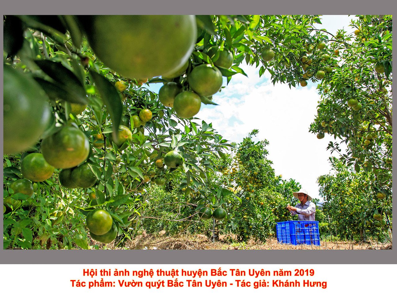 Tác phẩm dự thi Hội thi ảnh nghệ thuật huyện Bắc Tân Uyên năm 2019