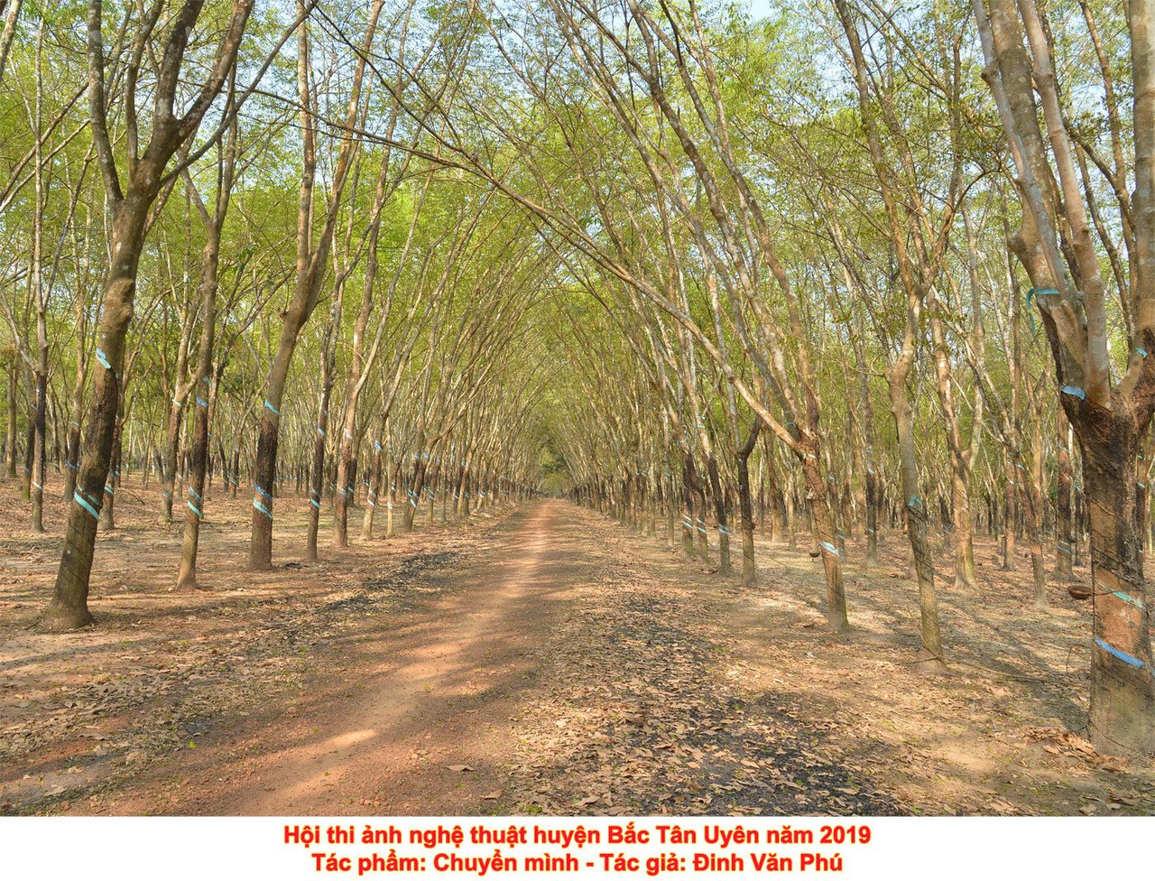 Tác phẩm dự thi Hội thi ảnh nghệ thuật huyện Bắc Tân Uyên năm 2019