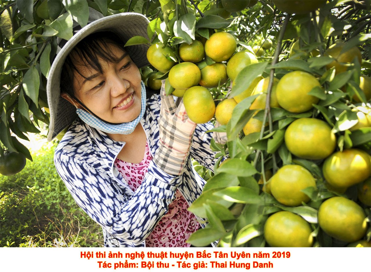 Tác phẩm dự thi Hội thi ảnh nghệ thuật huyện Bắc Tân Uyên năm 2019