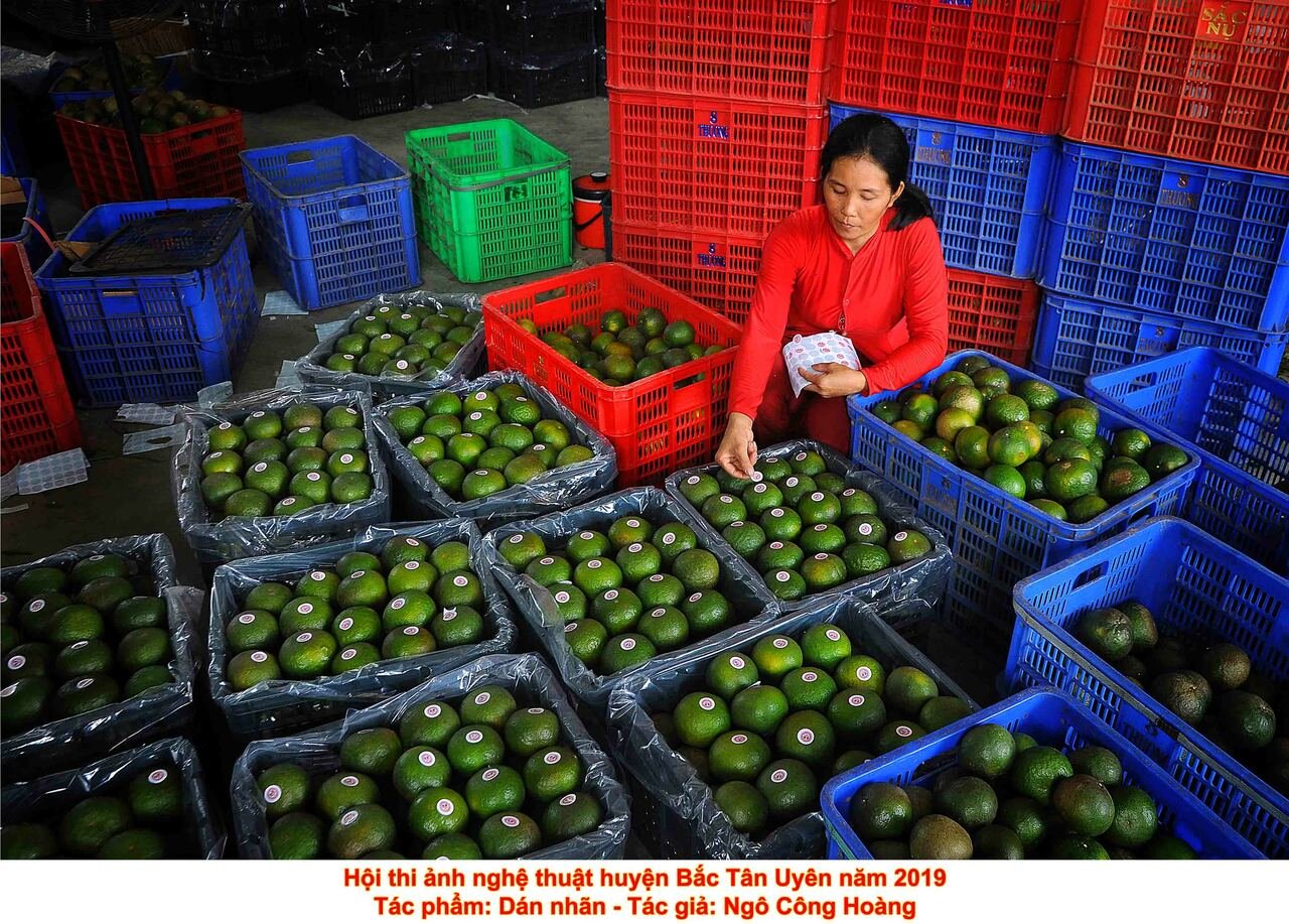 Tác phẩm dự thi Hội thi ảnh nghệ thuật huyện Bắc Tân Uyên năm 2019