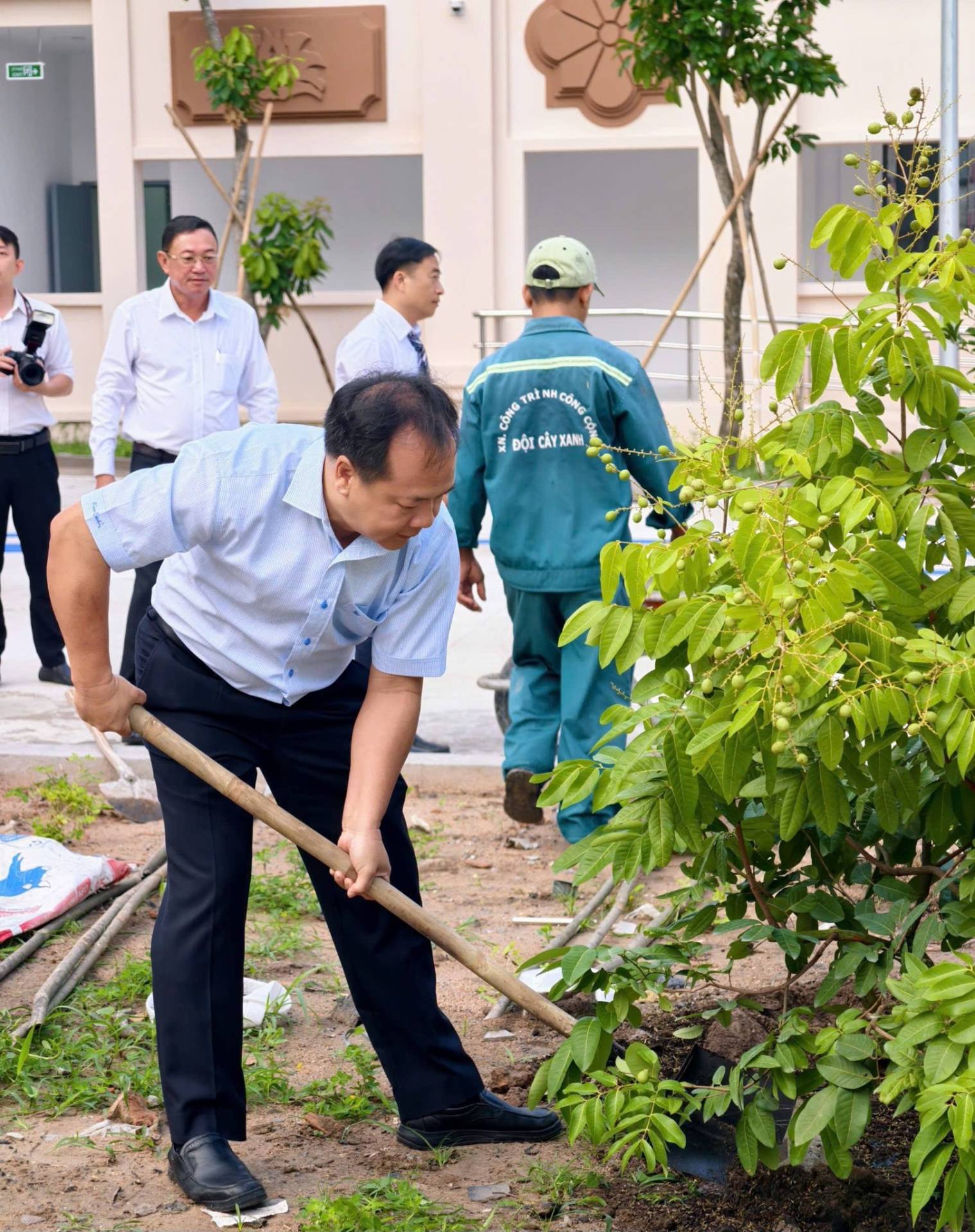 Có thể là hình ảnh về cây