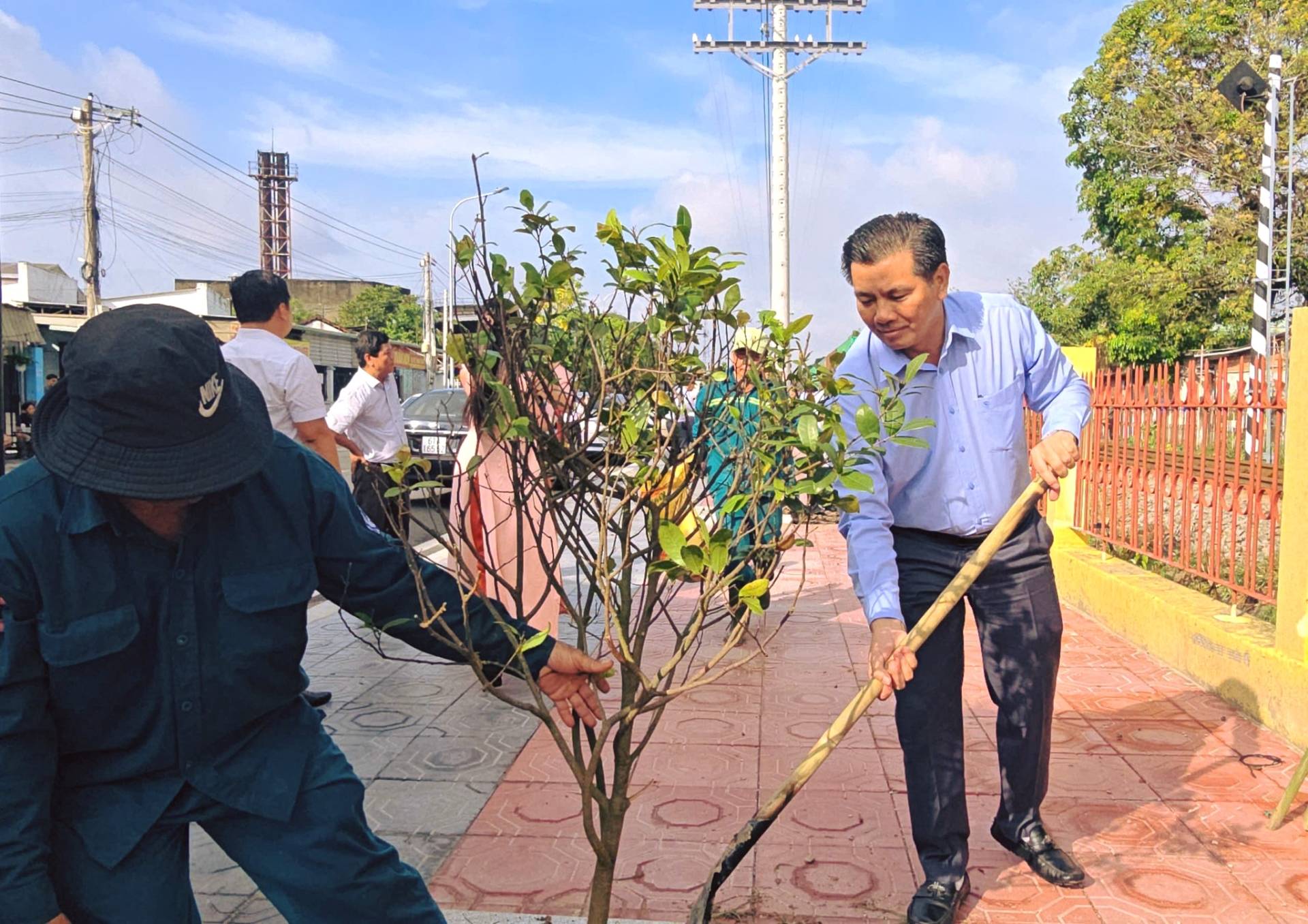 Có thể là hình ảnh về cây