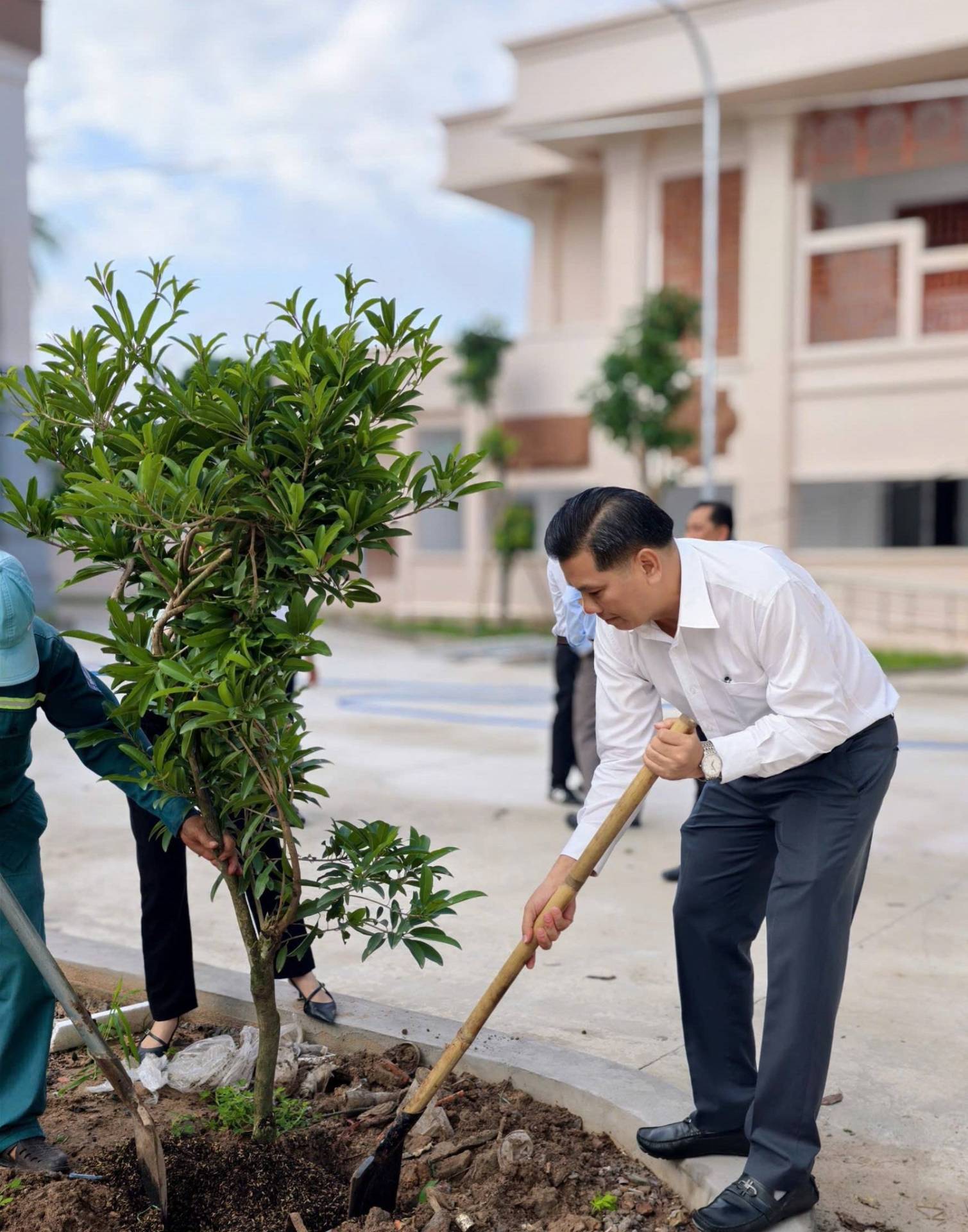 Có thể là hình ảnh về cây