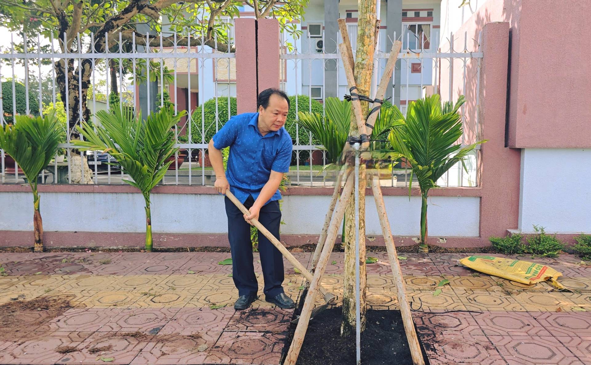 Có thể là hình ảnh về cỏ và cây