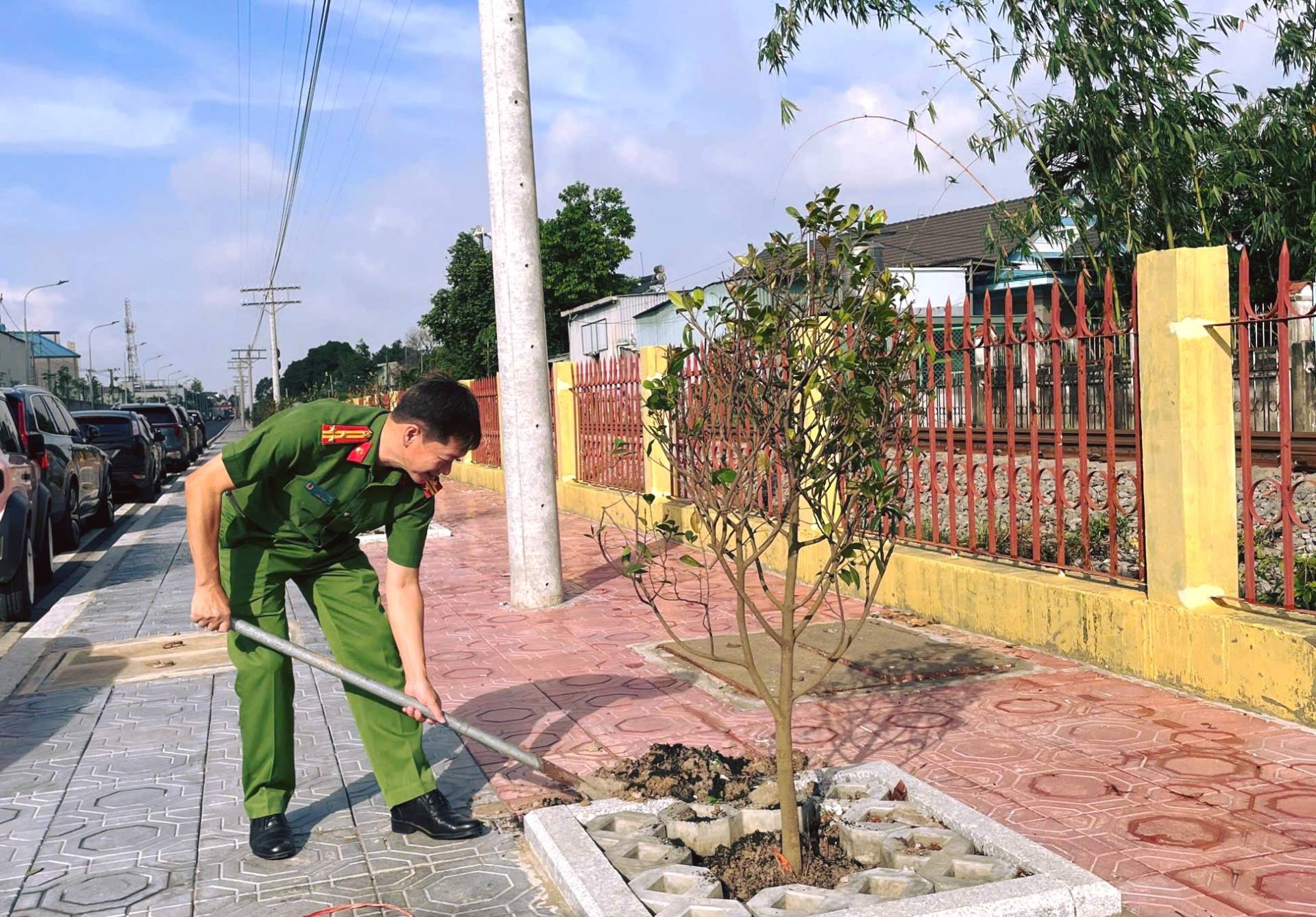 Có thể là hình ảnh về cây