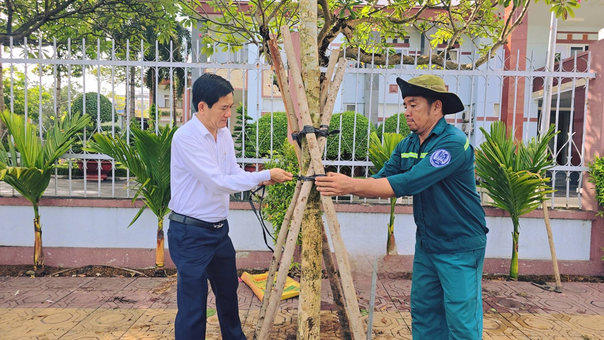 Có thể là hình ảnh về một hoặc nhiều người, cây và cỏ