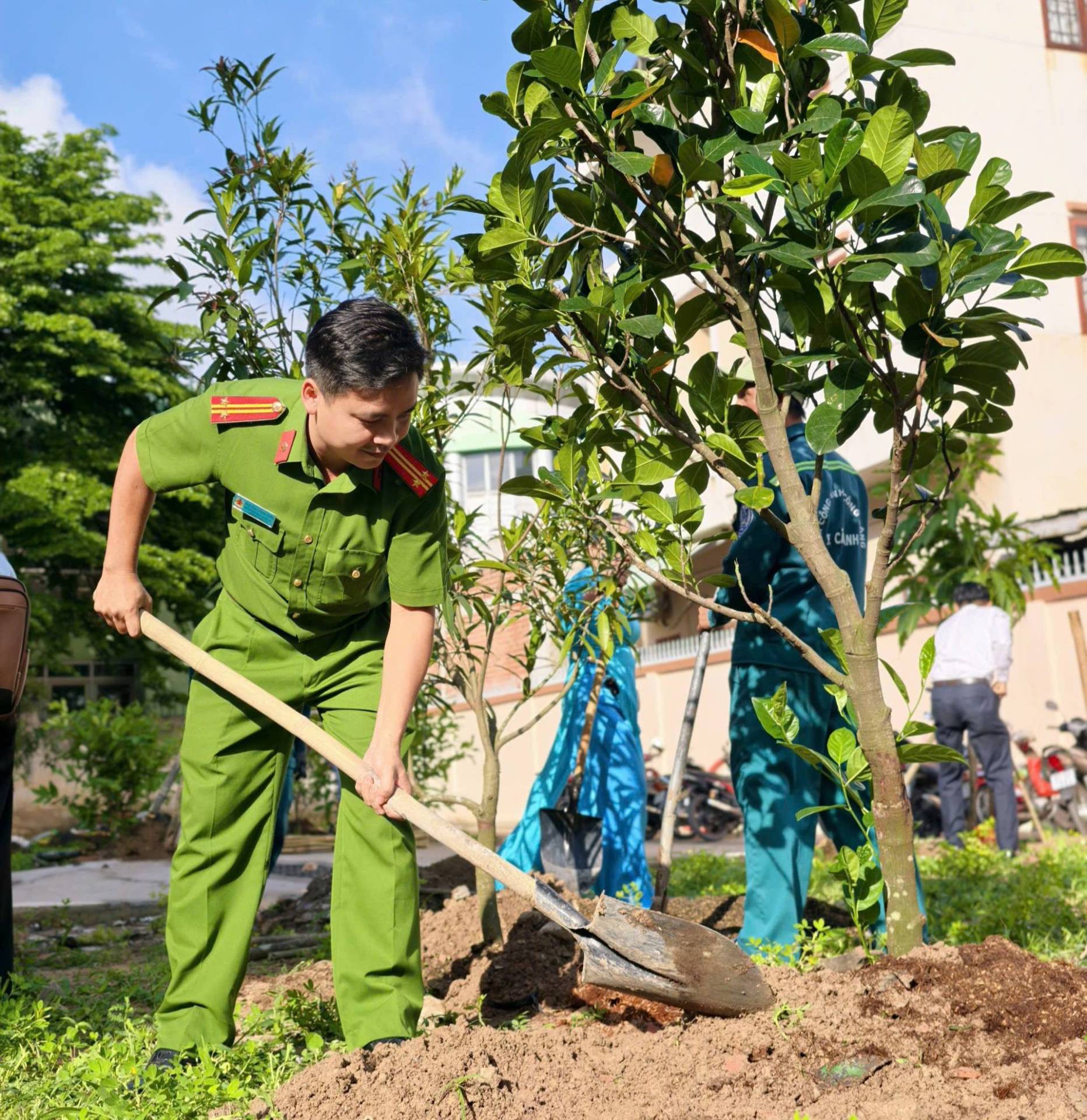 Có thể là hình ảnh về cây