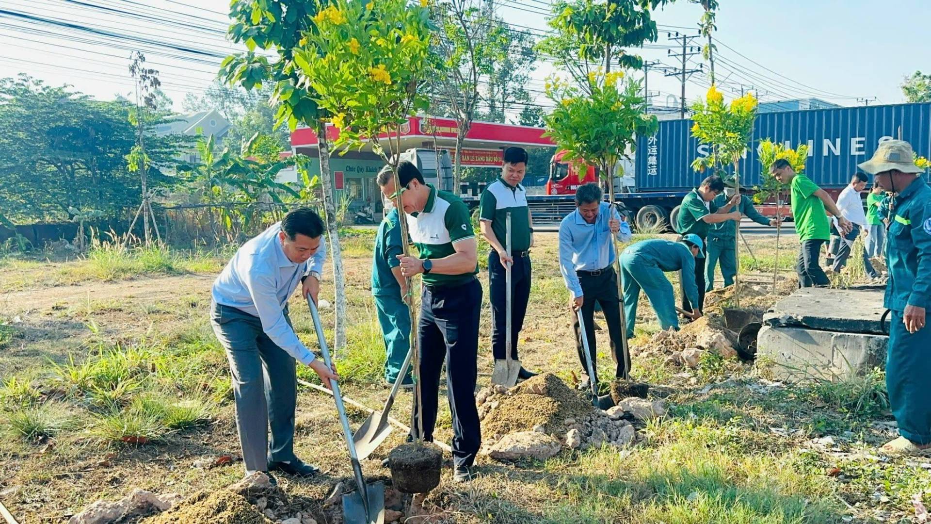 C&oacute; thể l&agrave; h&igrave;nh ảnh về c&acirc;y