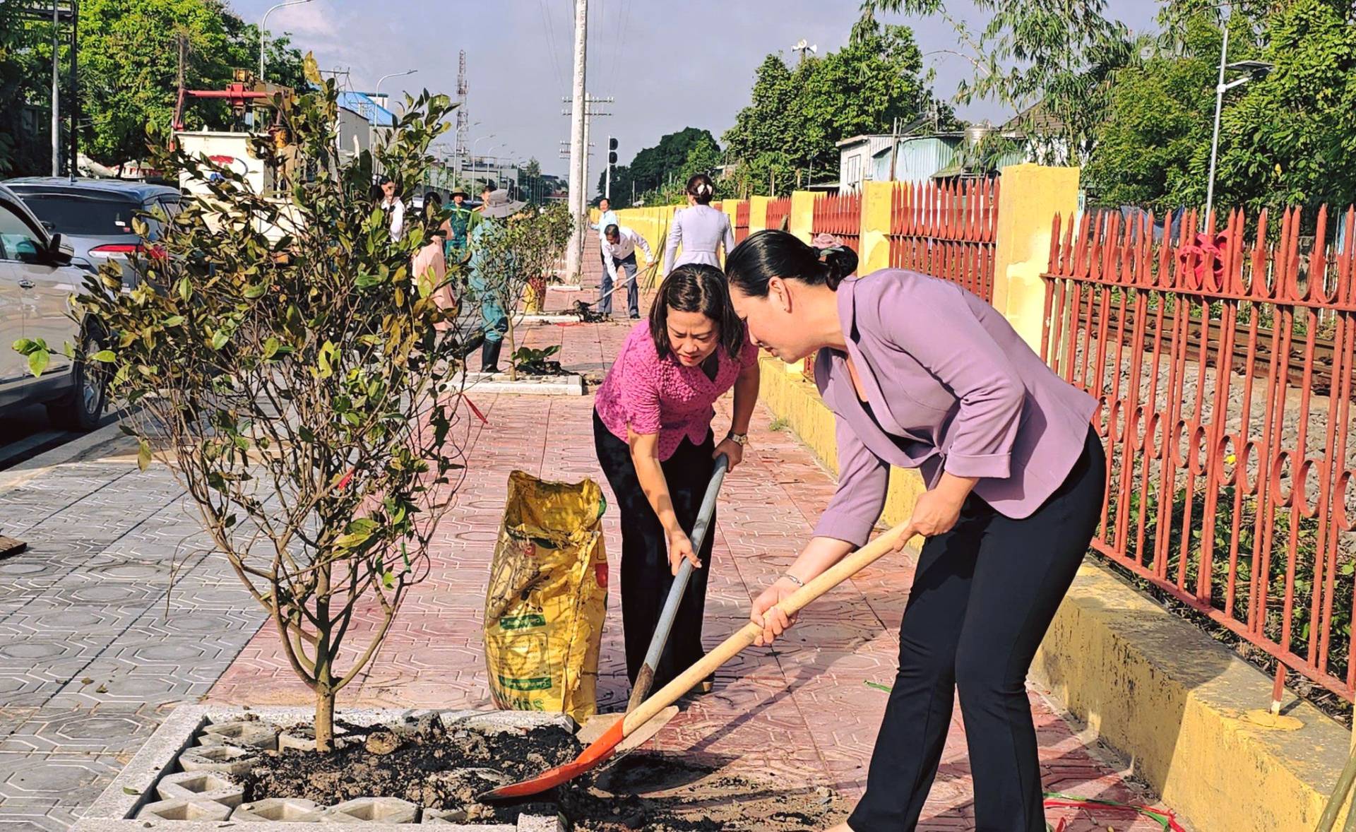 Có thể là hình ảnh về cây và cỏ