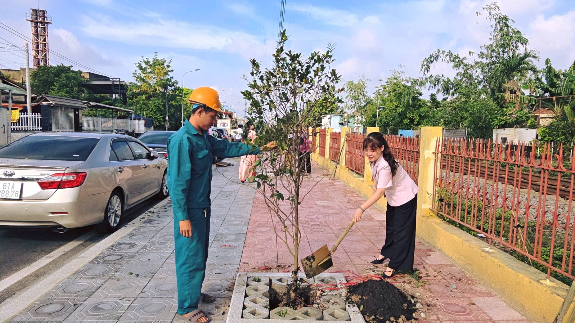 Có thể là hình ảnh về cây