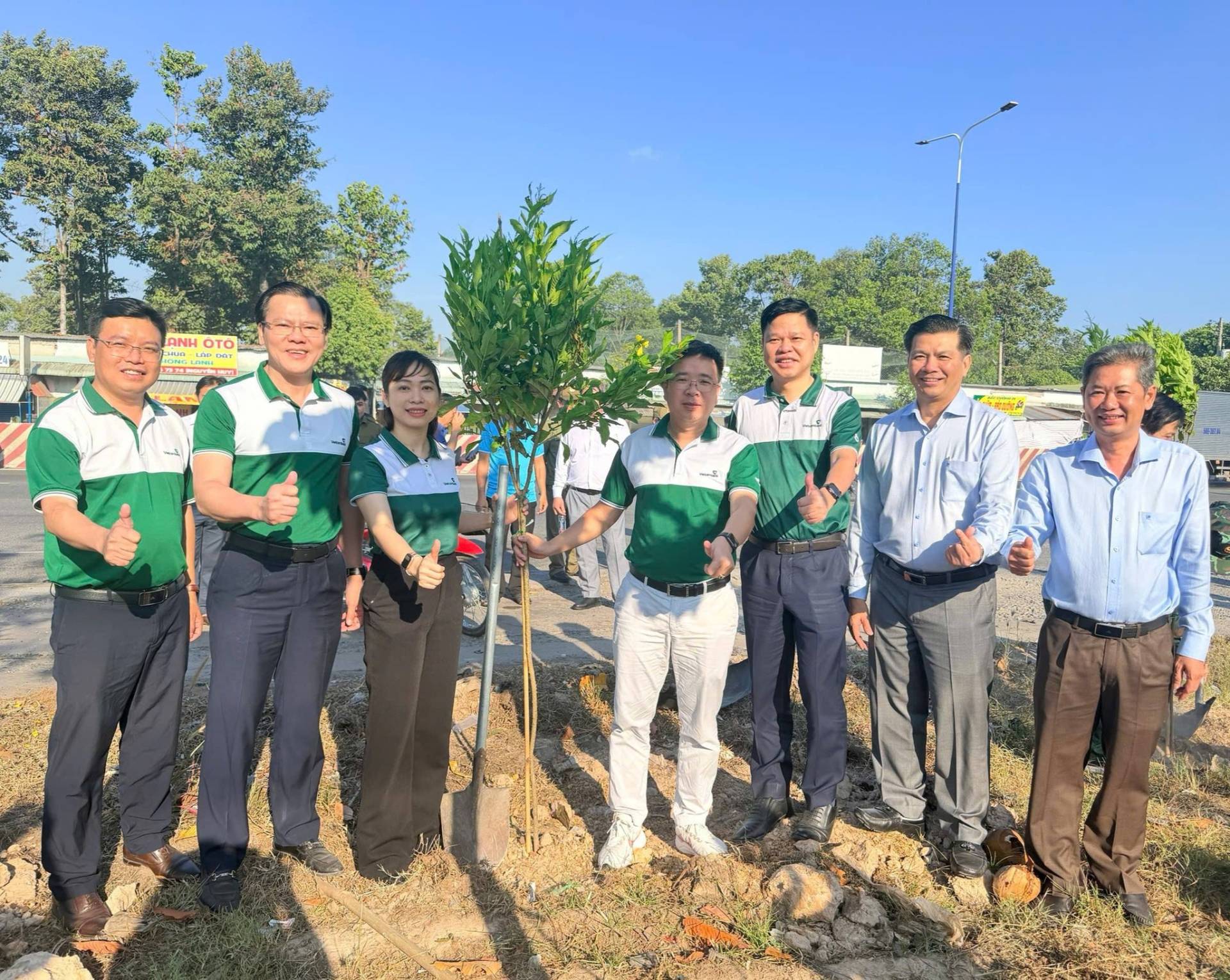 C&oacute; thể l&agrave; h&igrave;nh ảnh về c&acirc;y v&agrave; văn bản