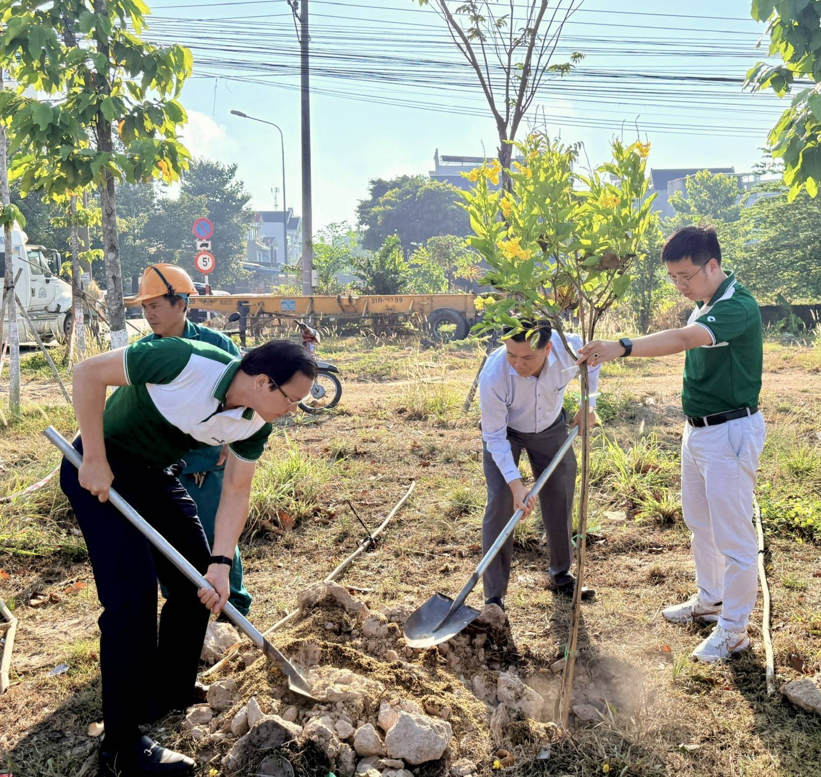 C&oacute; thể l&agrave; h&igrave;nh ảnh về c&acirc;y