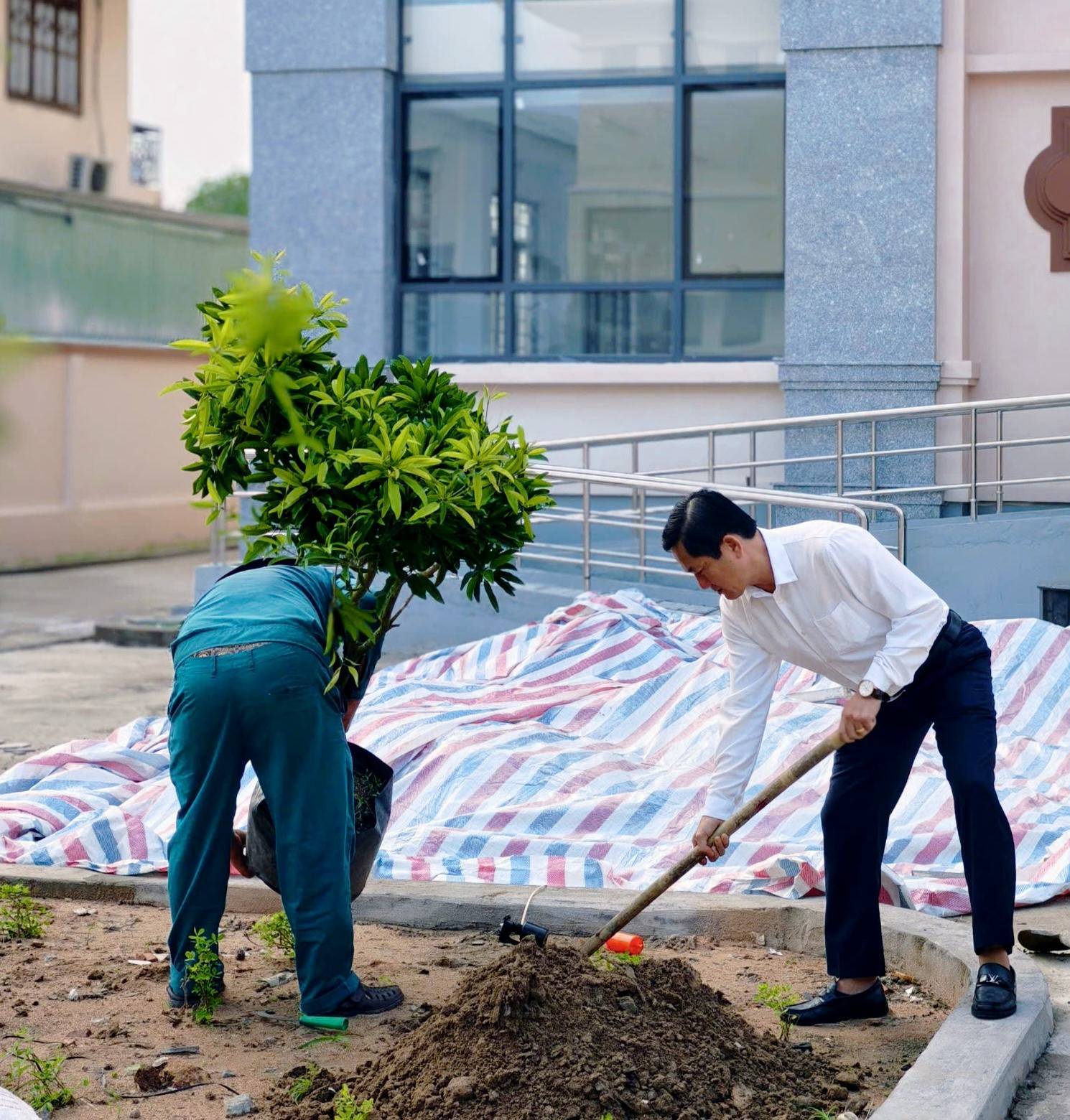 Có thể là hình ảnh về cây