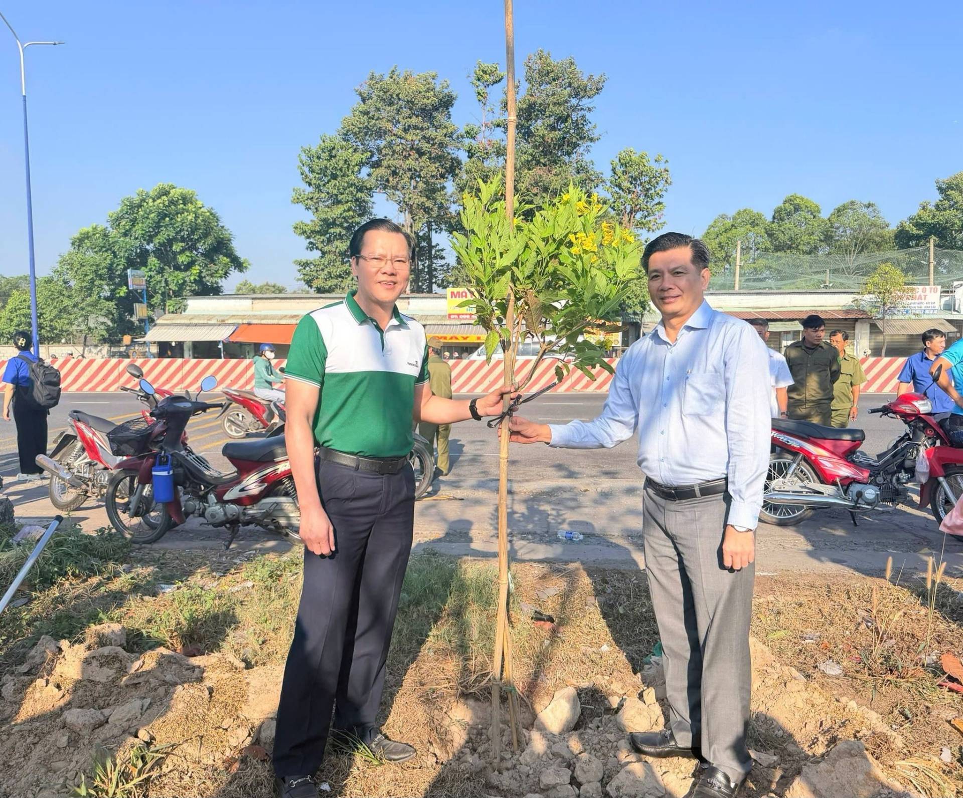 C&oacute; thể l&agrave; h&igrave;nh ảnh về c&acirc;y v&agrave; văn bản