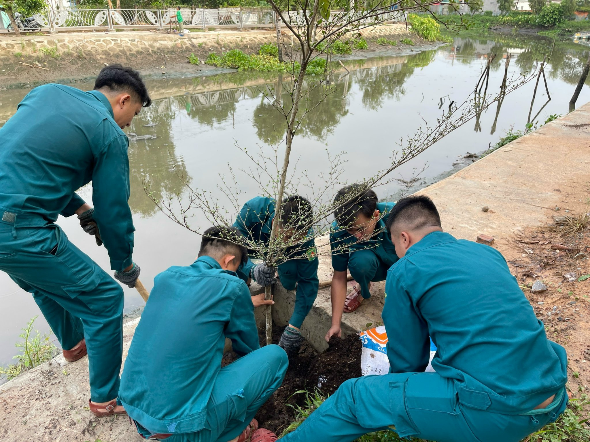 TRỒNG CÂY, ƯƠM GIỐNG