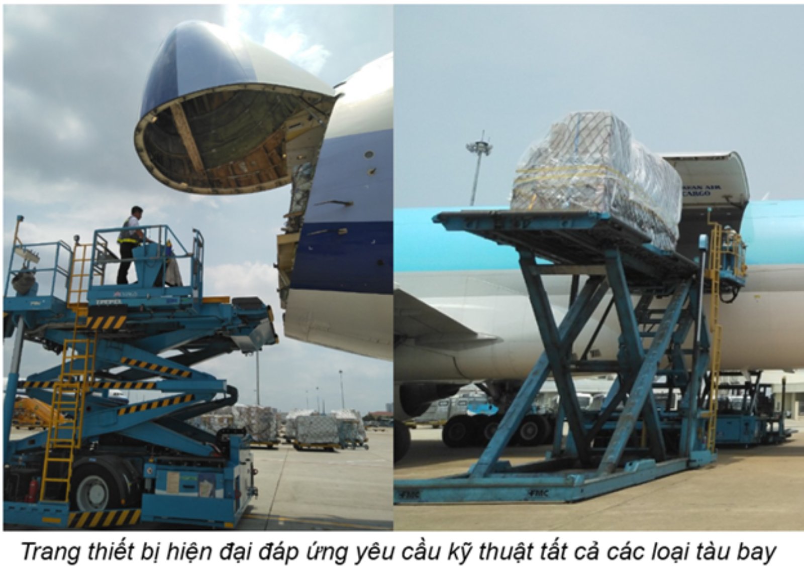 VIAGS TÂN SƠN NHẤT TĂNG CƯỜNG CÔNG TÁC PHỤC VỤ CÁC CHUYẾN BAY CHỞ HÀNG
