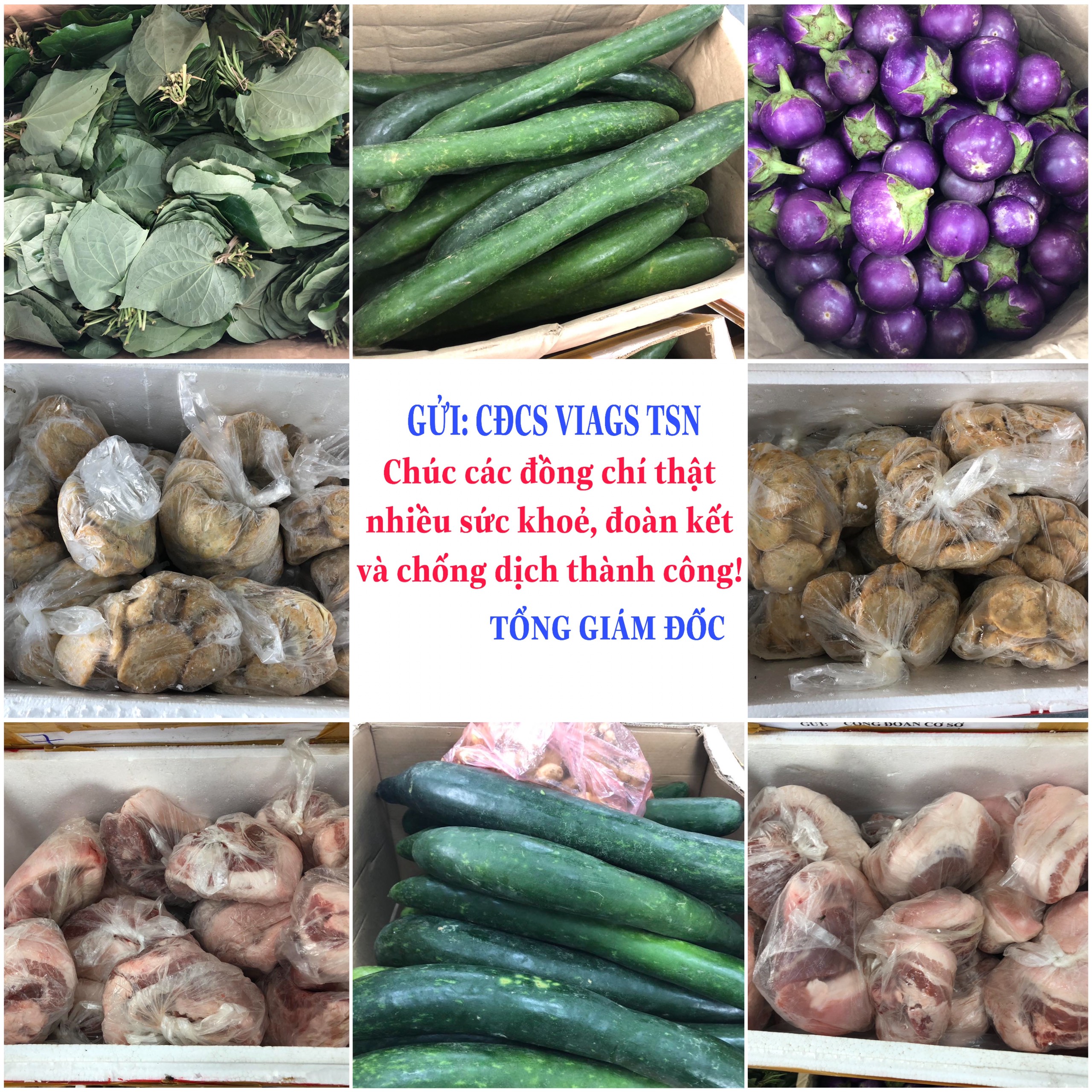TỔNG GIÁM ĐỐC VIAGS LÊ CAO THẾ GỬI TẶNG CÔNG ĐOÀN CỞ SỞ VIAGS TÂN SƠN NHẤT 09 THÙNG THỰC PHẨM VÀ RAU XANH