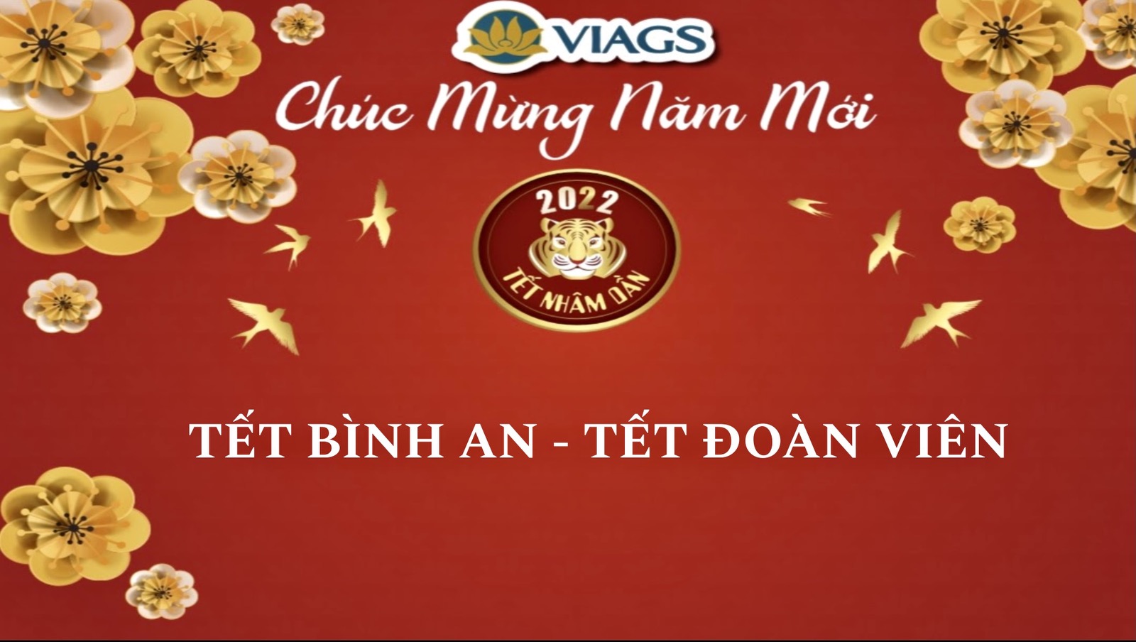 VIAGS TÂN SƠN NHẤT TỔ CHỨC CÁC HOẠT ĐỘNG CHĂM LO NHÂN DỊP TẾT NGUYÊN ĐÁN 2022 CHO NLĐ