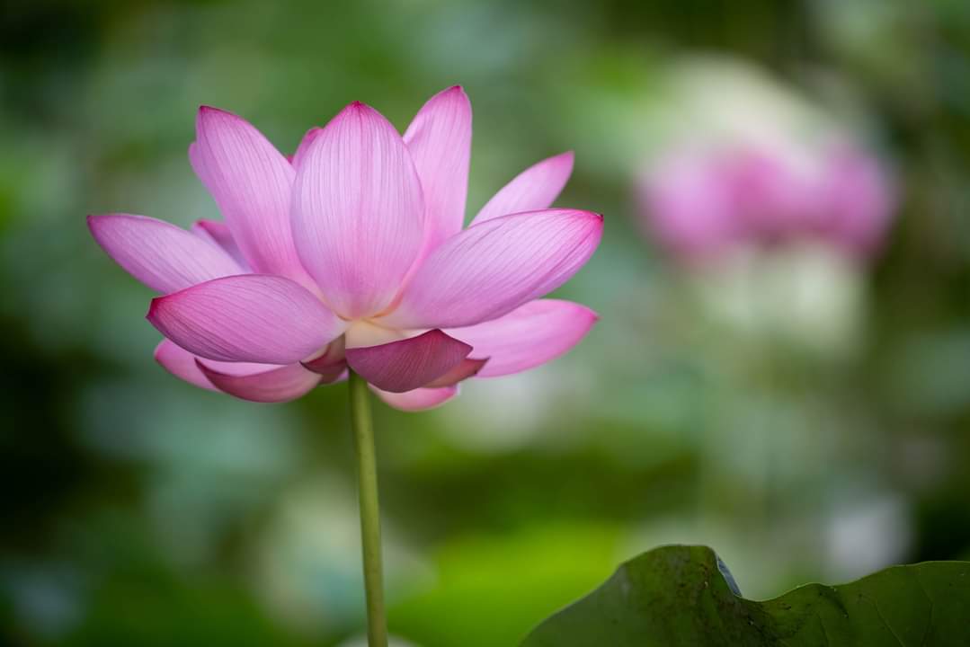 NIỀM VUI ĐẦU NĂM - TTPVSĐ TỎA SÁNG GƯƠNG NGƯỜI TỐT VIỆC TỐT.
