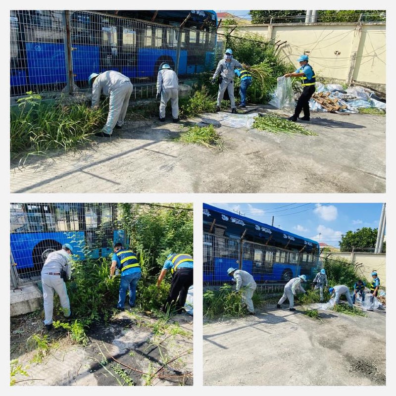 CHI ĐOÀN THANH NIÊN TT PVSĐ - HƯỞNG ỨNG THÁNG HÀNH ĐỘNG VÌ MÔI TRƯỜNG NĂM 2023.