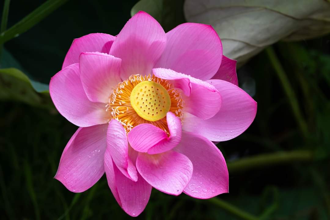 BỞI ĐẠO ĐỨC NGHỀ NGHIỆP CHÍNH LÀ PHẨM CÁCH SỐNG!