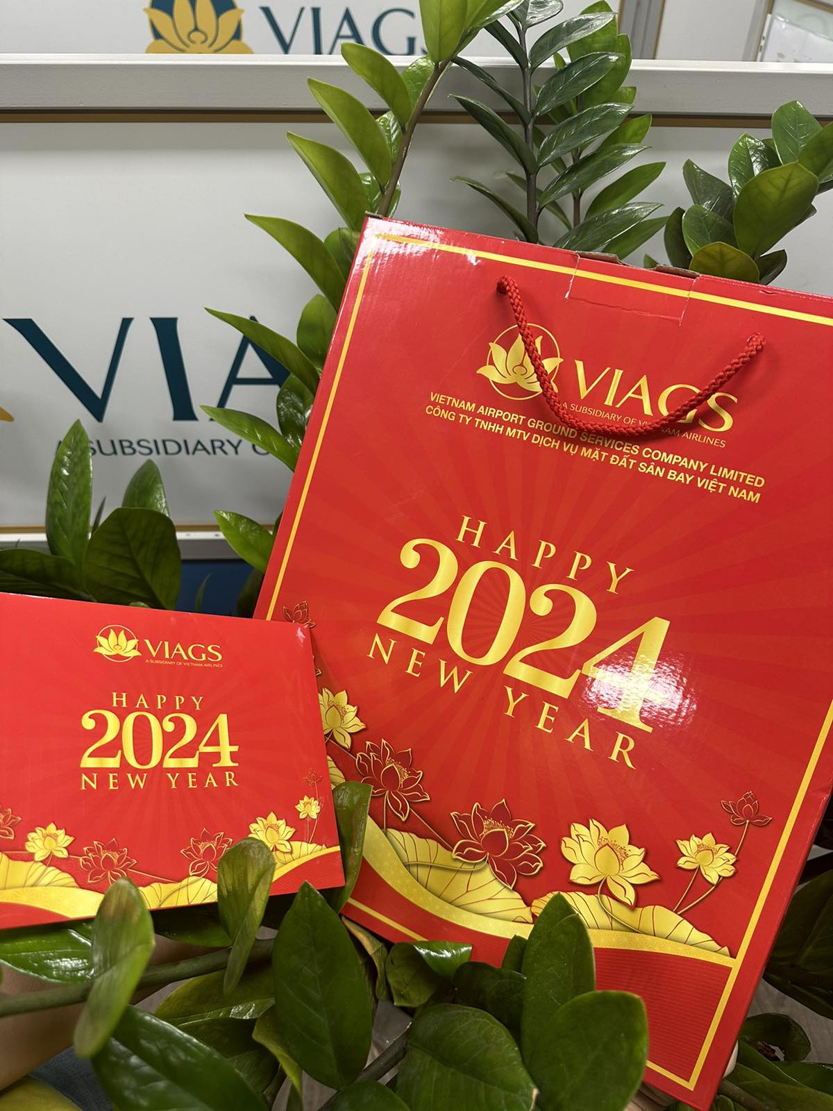 VIAGS -TSN RỘN RÀNG SẮC XUÂN