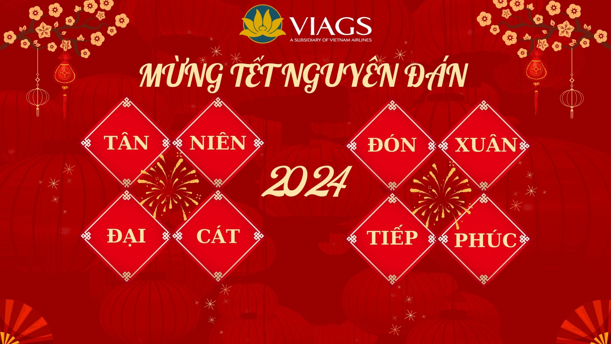 XUÂN NỘI BÀI RẠNG RỠ KHOE SẮC TƯƠI VUI