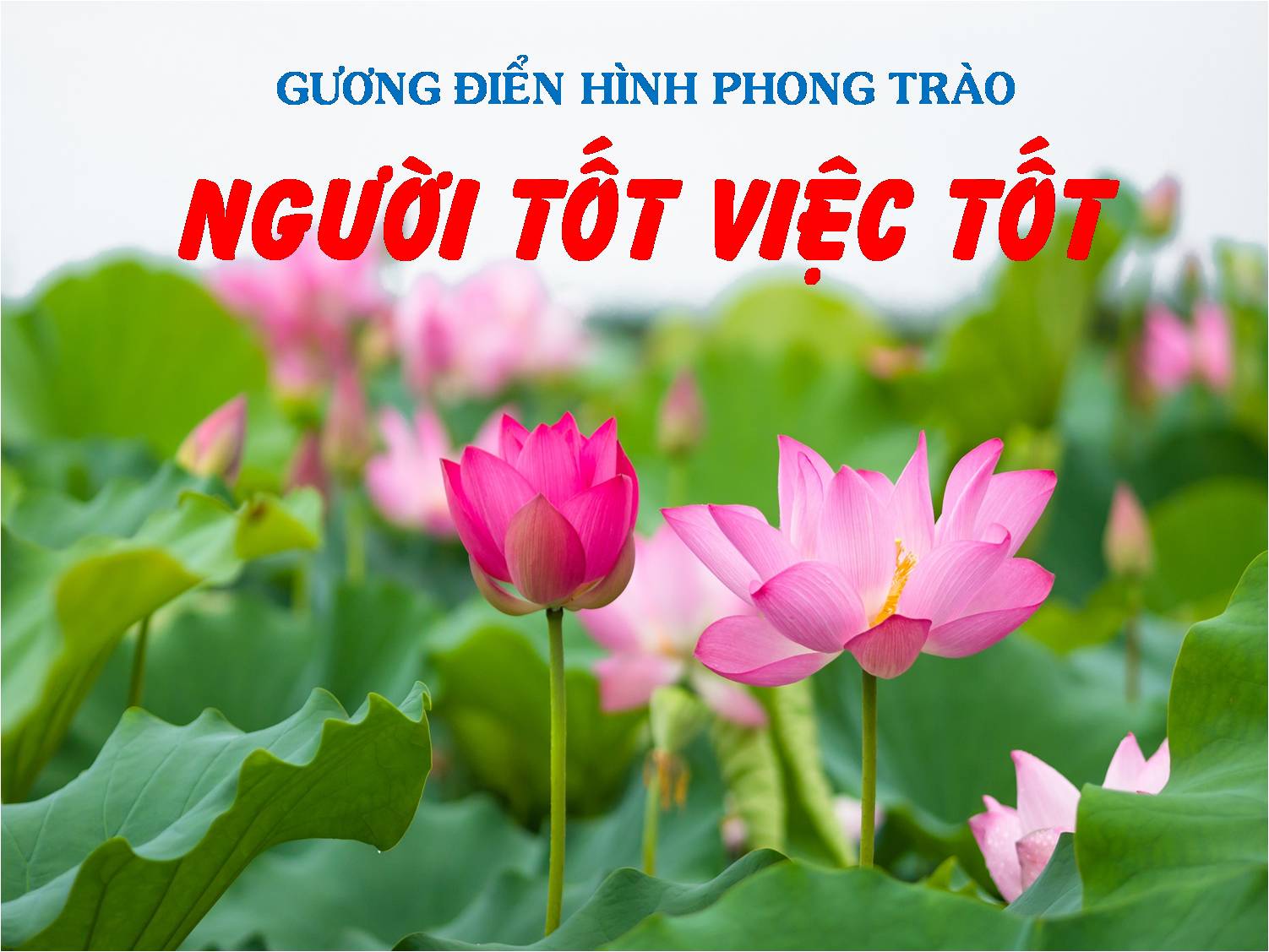 TẤM GƯƠNG NGƯỜI TỐT VIỆC TỐT TẠI VIAGS DAD